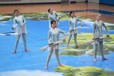 Enlarge photo 354