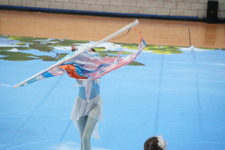 Enlarge photo 882