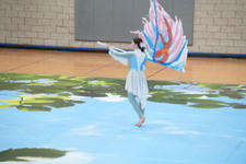 Enlarge photo 1179