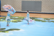 Enlarge photo 1186