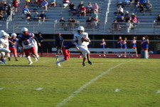 Enlarge photo 58