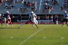 Enlarge photo 59