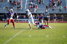 Enlarge photo 66