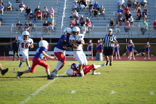 Enlarge photo 73