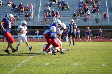 Enlarge photo 75