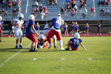 Enlarge photo 81