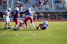 Enlarge photo 82