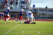 Enlarge photo 99