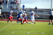 Enlarge photo 103
