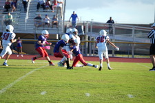 Enlarge photo 104