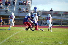 Enlarge photo 106