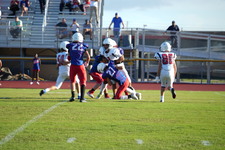 Enlarge photo 109