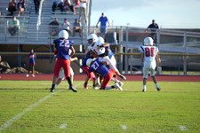 Enlarge photo 110