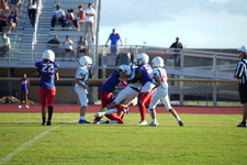 Enlarge photo 112