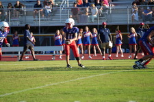 Enlarge photo 119