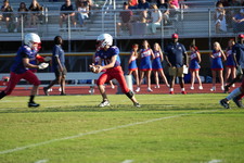 Enlarge photo 121