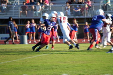 Enlarge photo 129