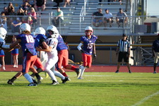 Enlarge photo 132