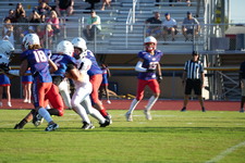 Enlarge photo 133