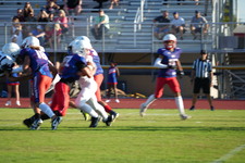 Enlarge photo 135