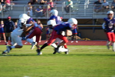 Enlarge photo 137