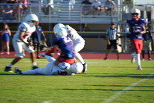 Enlarge photo 136
