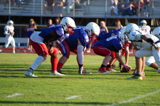 Enlarge photo 149