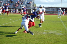 Enlarge photo 153