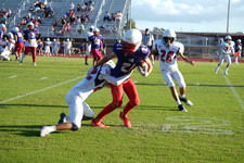 Enlarge photo 154