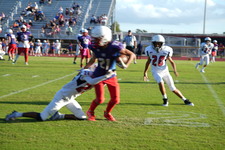 Enlarge photo 155