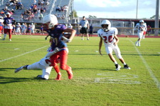 Enlarge photo 157