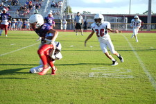 Enlarge photo 156
