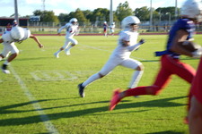Enlarge photo 163