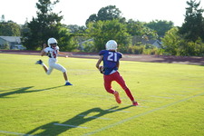 Enlarge photo 166