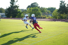 Enlarge photo 168