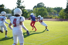 Enlarge photo 169
