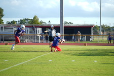 Enlarge photo 180