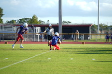 Enlarge photo 181