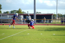 Enlarge photo 182
