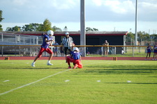 Enlarge photo 184