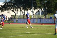Enlarge photo 212