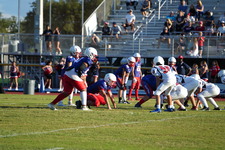 Enlarge photo 231