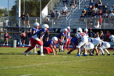 Enlarge photo 232