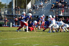 Enlarge photo 233