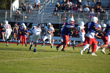 Enlarge photo 242