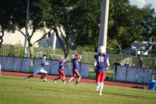 Enlarge photo 245