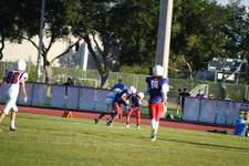 Enlarge photo 251