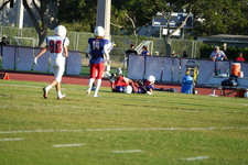 Enlarge photo 252
