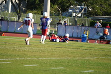 Enlarge photo 253