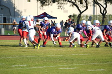 Enlarge photo 256